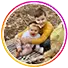 תמונת פרופיל של feedback2