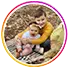 תמונת פרופיל של feedback1
